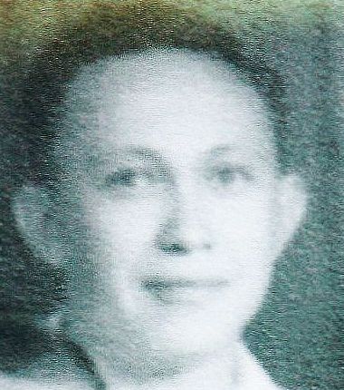 Jan Nicolaas van Onselen