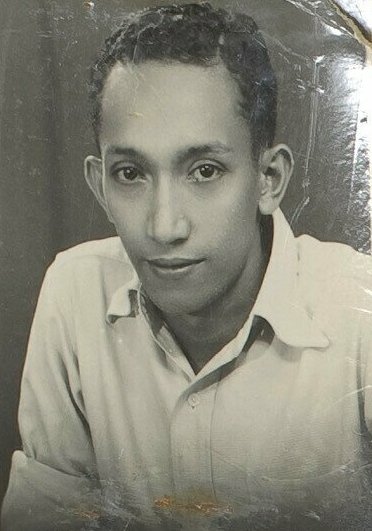 Willem L.M. Guldenaar